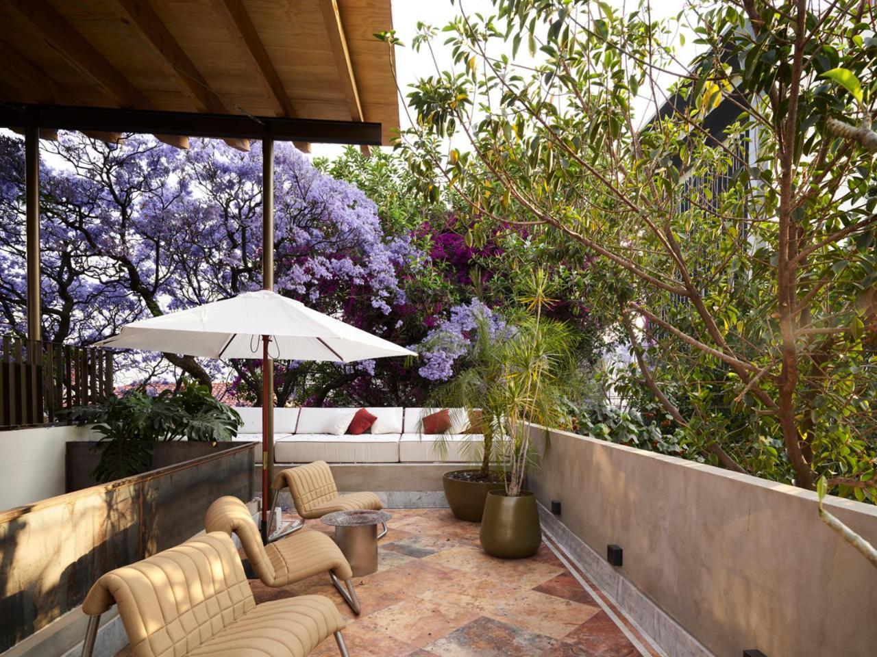 Hotel Dama Mexico City Ngoại thất bức ảnh
